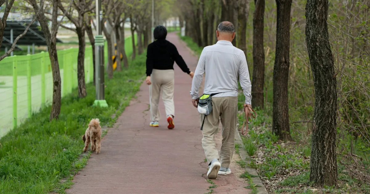 To personer som lufter hund på en sti mellom trærne