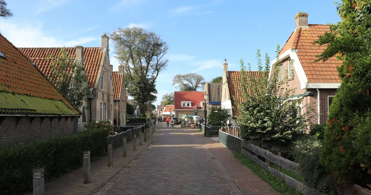 Gate i en dansk landsby med gamle hus og hage langs veien