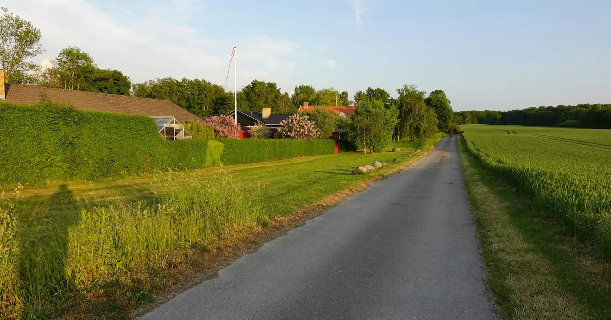 Asfaltvei mellom grønne åkrer med hus i bakgrunnen