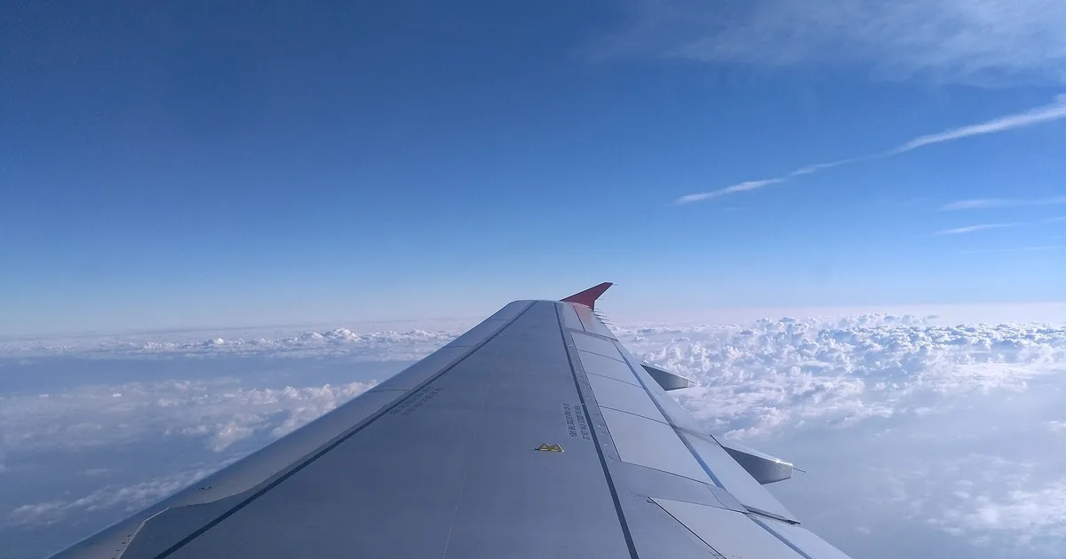 Flyvinge sett fra vinduet over et skydekke